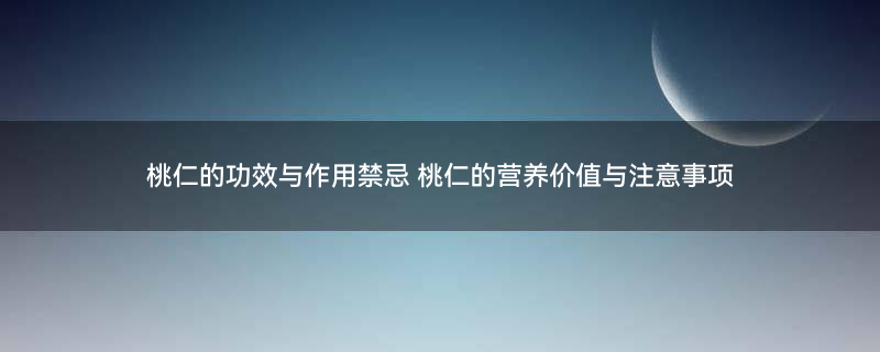 桃仁1.jpg